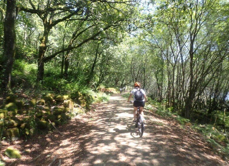 Picture 4 for Activity Gerês National Park: Self-guided E-Bike Tour