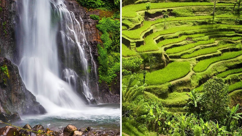 Show item 1 of 10. Combo image of the Blangsinga Falls and Antungan Village Rice Fields in Bali