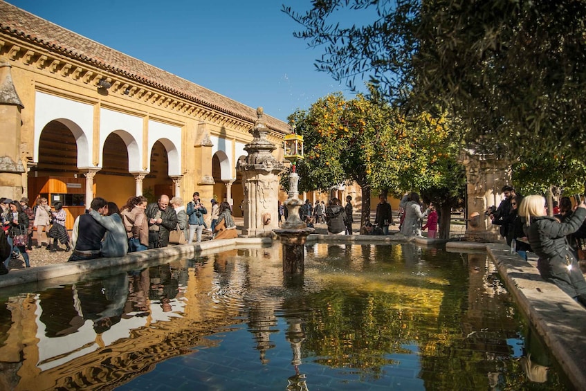 Picture 11 for Activity Cordoba: Jewish Quarter and Mosque-Cathedral Guided Tour