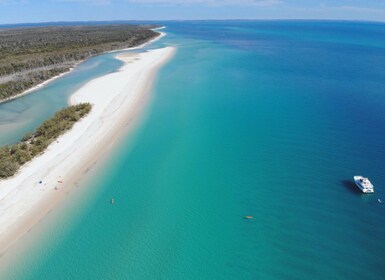 From Hervey Bay: Fraser Island Beach and Aussie BBQ Cruise