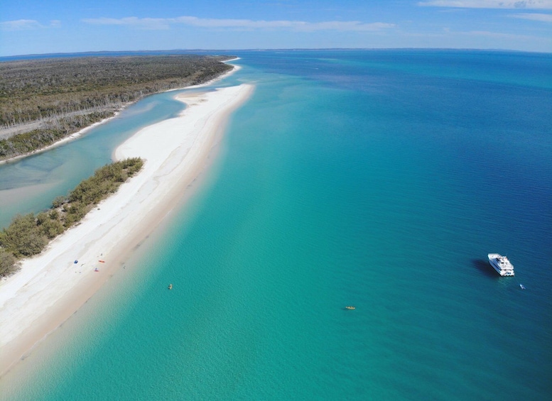 From Hervey Bay: 1/2 day K'gari Fraser Island Beach Cruise