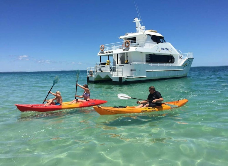 Picture 7 for Activity From Hervey Bay: 1/2 day K'gari Fraser Island Beach Cruise