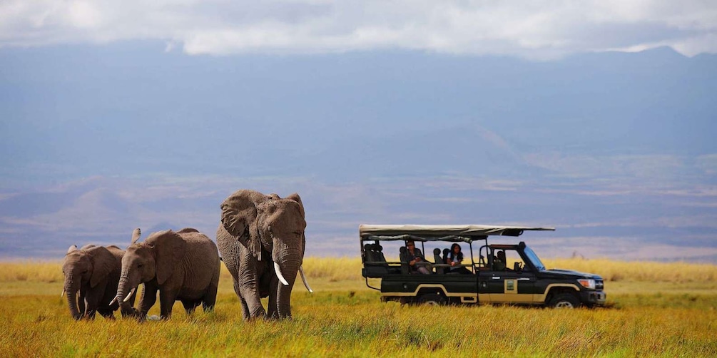 Picture 1 for Activity Nairobi: 4-Day Maasai Mara & Lake Nakuru Camping Safari