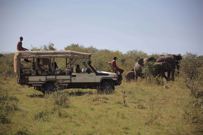 Picture 11 for Activity Nairobi: 4-Day Maasai Mara & Lake Nakuru Camping Safari