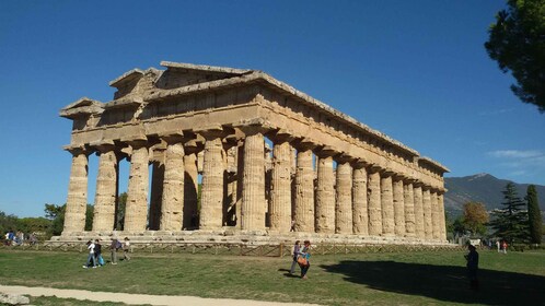 Tour privado de PAESTUM: los templos mejor conservados del mundo