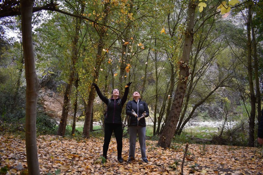 Picture 5 for Activity Granada: Hiking along the Gollizno route