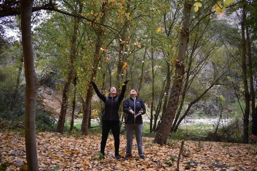 Picture 5 for Activity Granada: Hiking along the Gollizno route