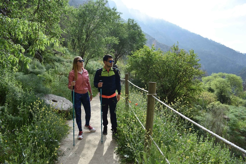 Picture 2 for Activity Granada: Hiking along the Gollizno route