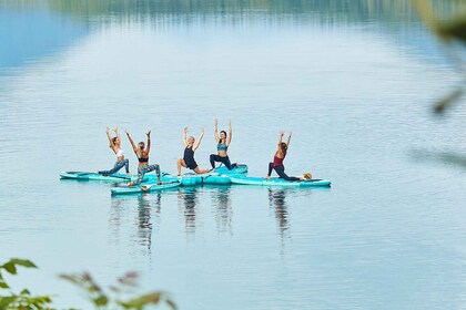 Hamburg: 1-stündiger Stand Up Paddle Board Einsteigerkurs