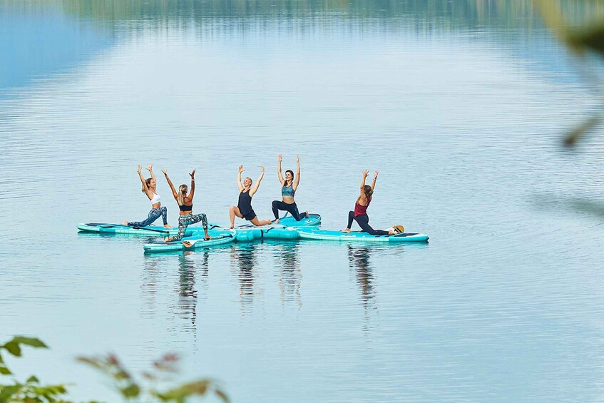 Hamburg: 1-Hour Stand Up Paddle Board Beginner Course