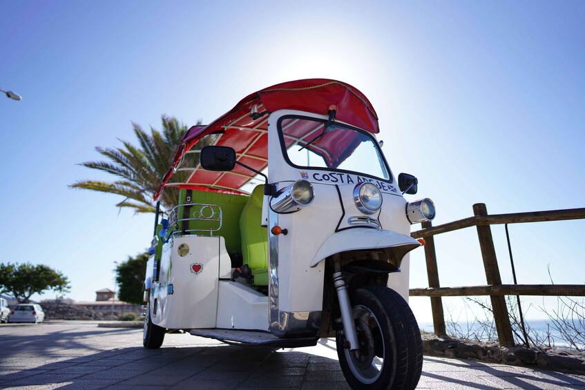 Picture 14 for Activity Costa Adeje: Double Tuk-Tuk Tour