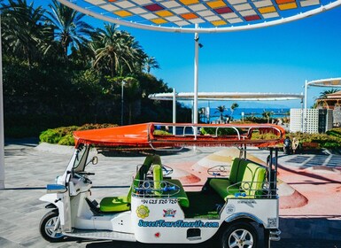 Costa Adeje : Double Tuk-Tuk Tour