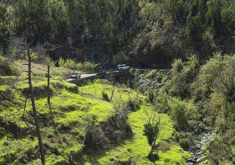 Picture 6 for Activity Madeira: The Best of South Jeep Tour