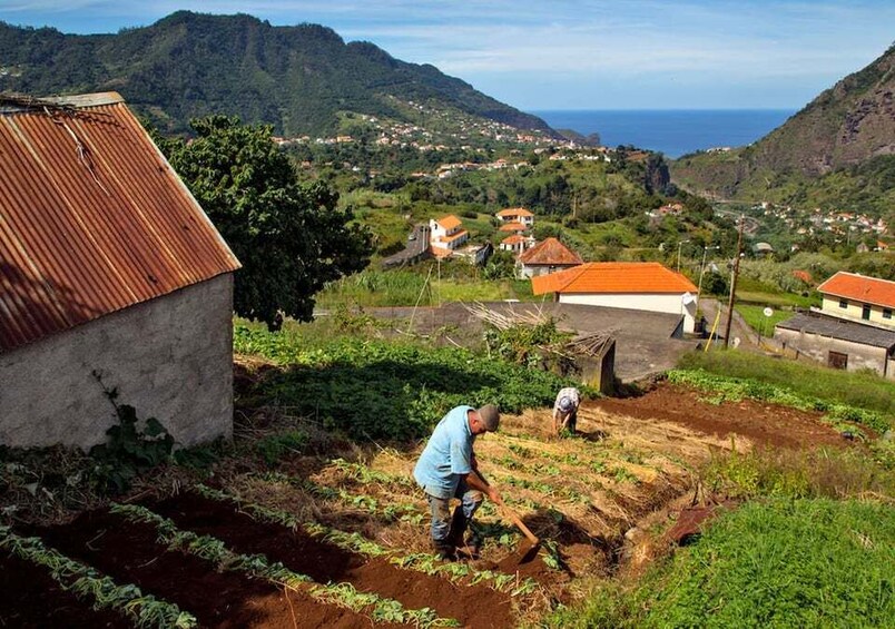 Picture 8 for Activity Madeira: The Best of South Jeep Tour