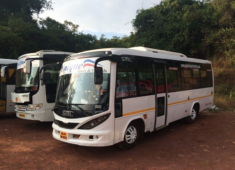 Picture 5 for Activity Goa: Dudhsagar Waterfall & Spice Farm Tour with Jeep Safari