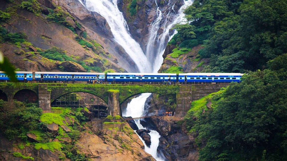 Picture 1 for Activity Goa: Dudhsagar Waterfall & Spice Farm Tour with Jeep Safari