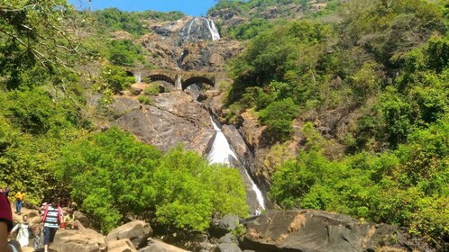 Goa: Dudhsagar Waterfall & Spice Farm Tour with Jeep Safari