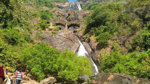 Goa: Dudhsagar Waterfall & Spice Farm Tour with Jeep Safari