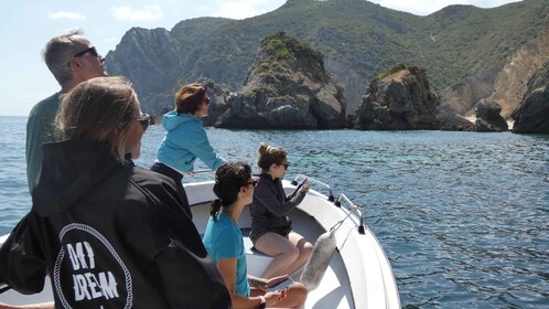 Sesimbra: recorrido en barco por las playas y cuevas de Arrábida con esnórq...