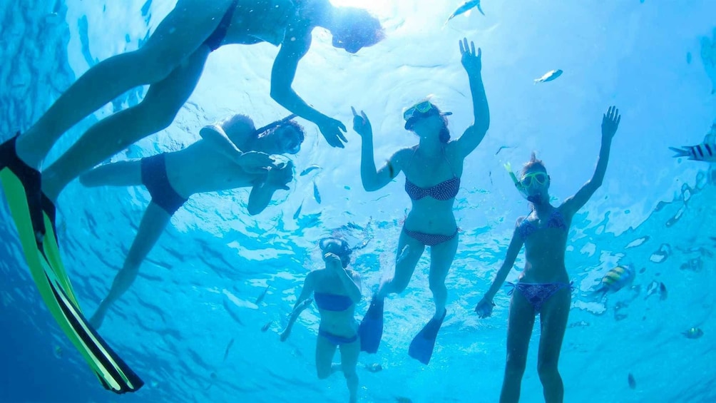 正在顯示第 4 張相片,共 10 張。 Group snorkeling on Phi Phi Island in Thailand