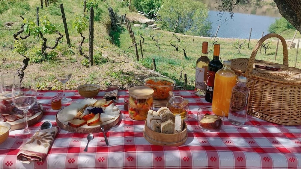 Douro Valley: Quinta do Tedo Wine Experience with Picnic