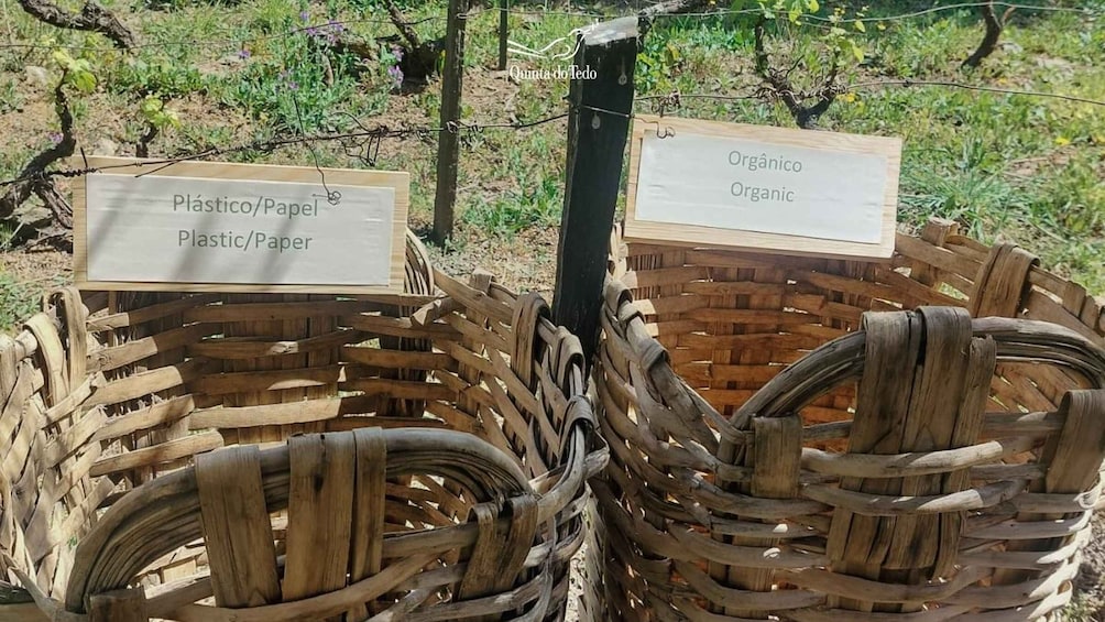 Picture 7 for Activity Douro Valley: Quinta do Tedo Wine Experience with Picnic