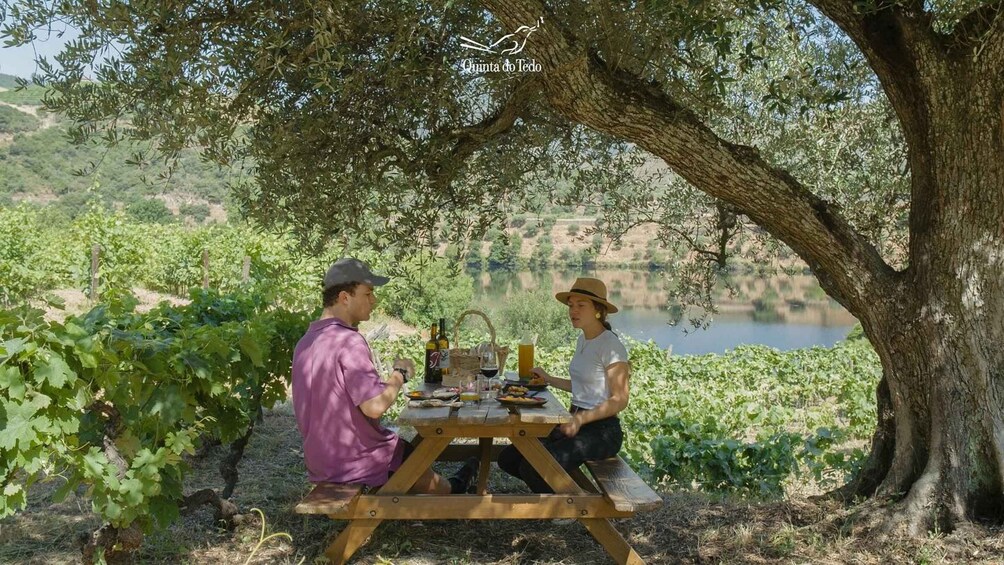 Picture 2 for Activity Douro Valley: Quinta do Tedo Wine Experience with Picnic