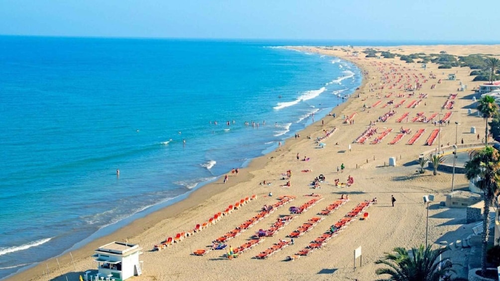 Picture 14 for Activity Maspalomas: E-Bike Tour optional Camel Ride