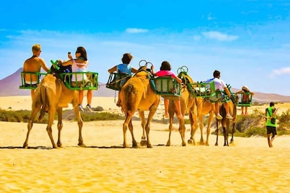 Maspalomas: E-Bike Tour with Camel Ride or Sunset Option