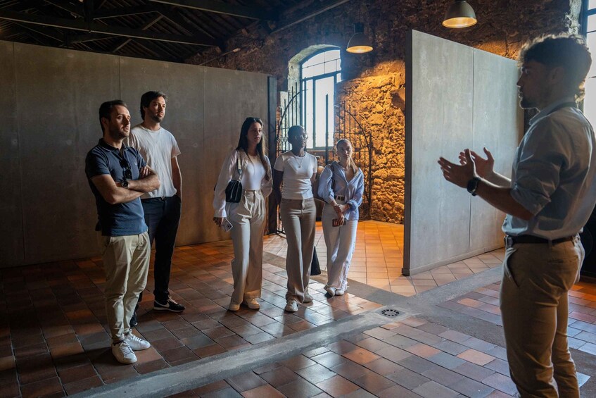 Picture 4 for Activity Best of Porto Guided Tour: Cruise & Wine Tasting