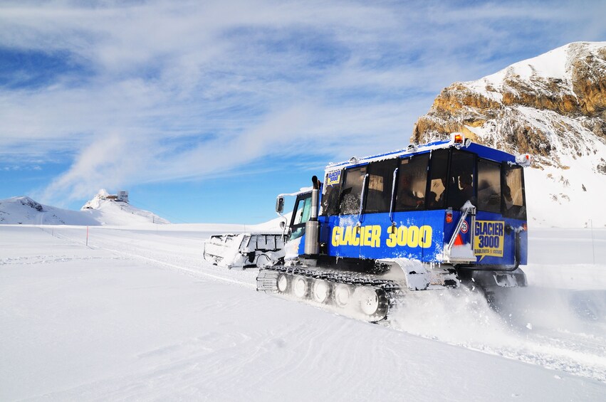 Day Trip to Glacier 3000 & Montreux