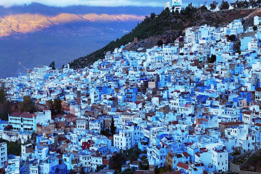 Picture 2 for Activity Tangier: Chefchaouen & Akchour Waterfalls Instagram Tour