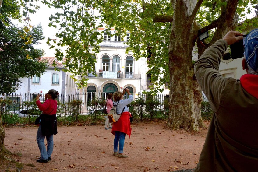 Picture 5 for Activity Best of Caldas da Rainha with a local guide