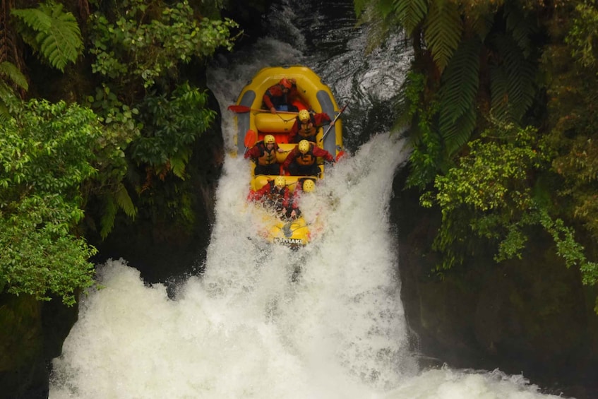 Picture 3 for Activity Kaituna River: 3.5-Hour Whitewater Rafting Experience