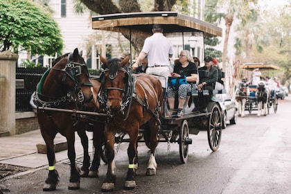 Charleston: Abendliche Kutschfahrt durch die Innenstadt