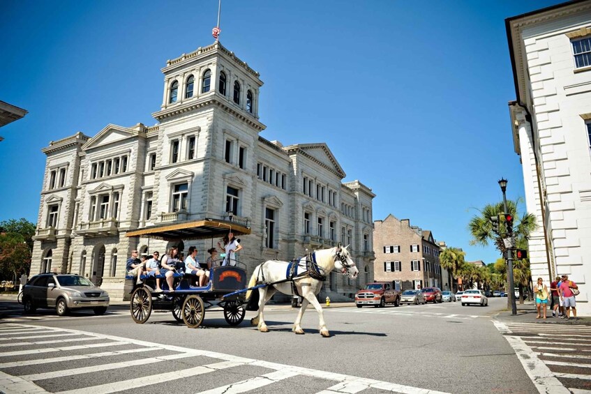 Picture 5 for Activity Charleston: Downtown Evening Carriage Tour