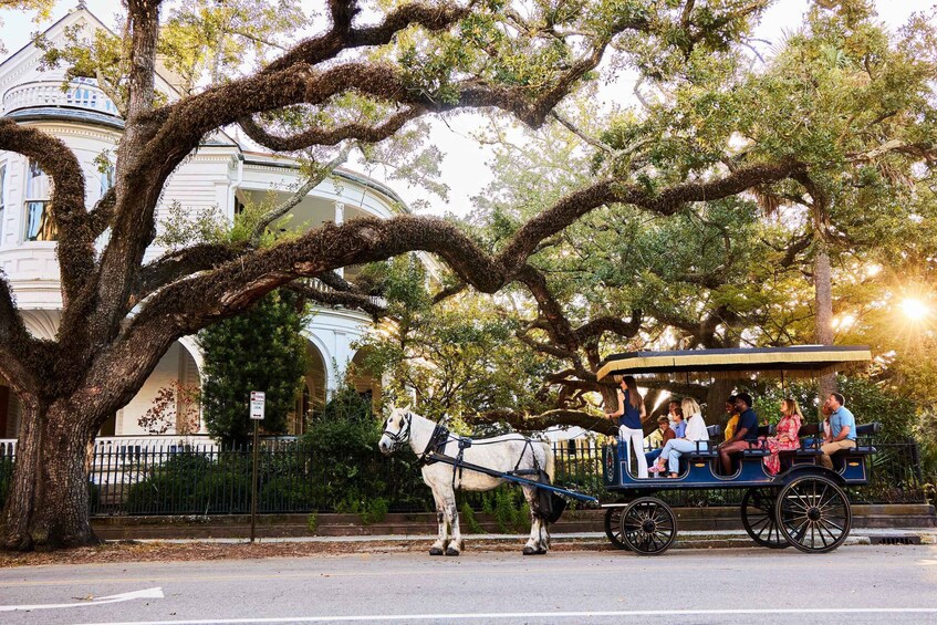 Picture 7 for Activity Charleston: Downtown Evening Haunted History Carriage Tour