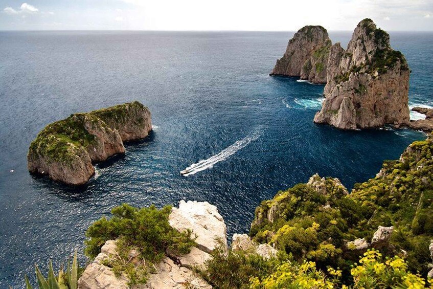 Picture 4 for Activity From Capri: Highlights Tour with Chairlift Ticket