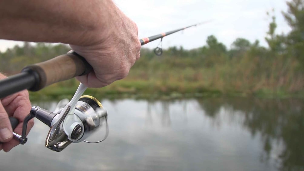 Picture 5 for Activity Clermont: Trophy Bass Fishing Experience with Expert Guide