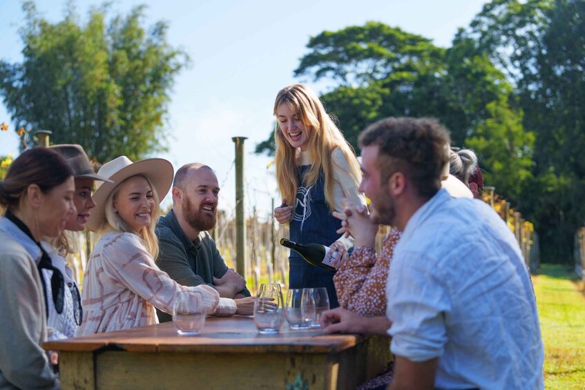 Picture 1 for Activity Brisbane: Tamborine Wine & Distillery Tour + 2 Course Lunch