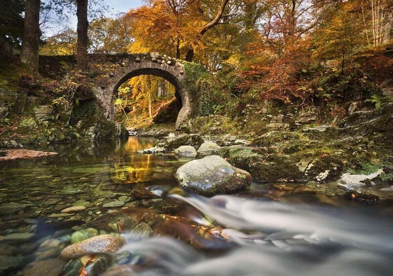 Picture 5 for Activity Newcastle: Game of Thrones - Tollymore Forest Trek