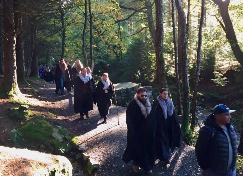 Picture 4 for Activity Newcastle: Game of Thrones - Tollymore Forest Trek