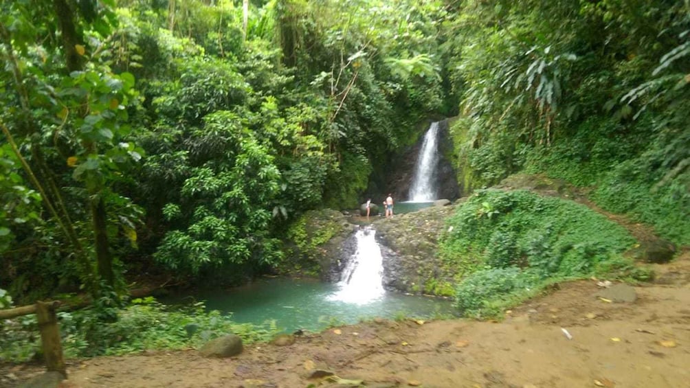 Picture 1 for Activity "Tropically Yours" Waterfall Nature Hike.