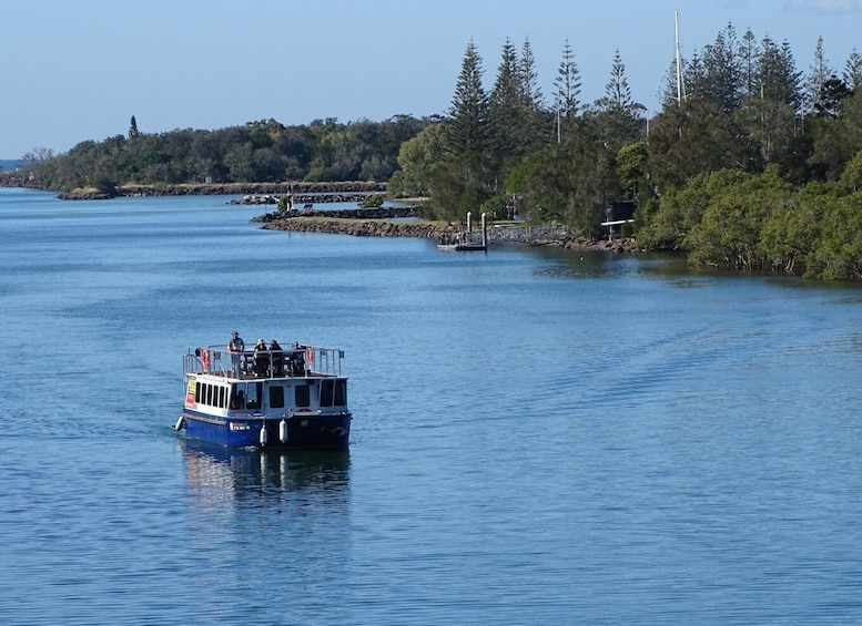 Picture 8 for Activity Brunswick River: Sunset Eco Rainforest River Cruise