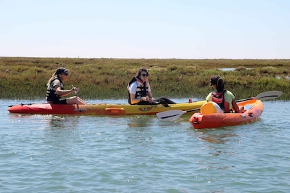 Ria Formosa National Park: Kayak Trip