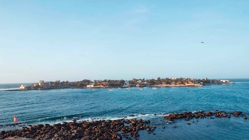 Vanuit Dakar of Saly: Excursie van een halve dag naar Ngor eiland