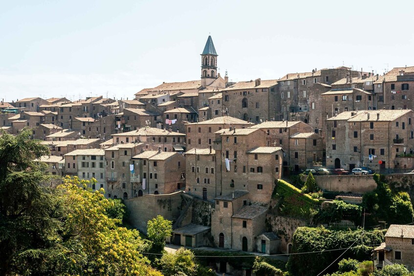 Picture 3 for Activity Viterbo: Private Walking Tour