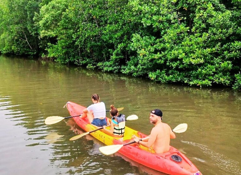 Picture 15 for Activity Ko Lanta: Mangrove Kayaking Half-Day Tour