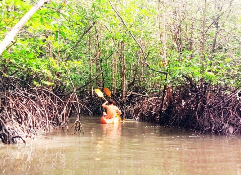 Picture 22 for Activity Ko Lanta: Mangrove Kayaking Half-Day Tour