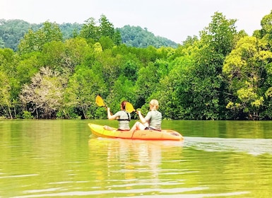 Ko Lanta: Mangrove Kayaking Half-Day Tour